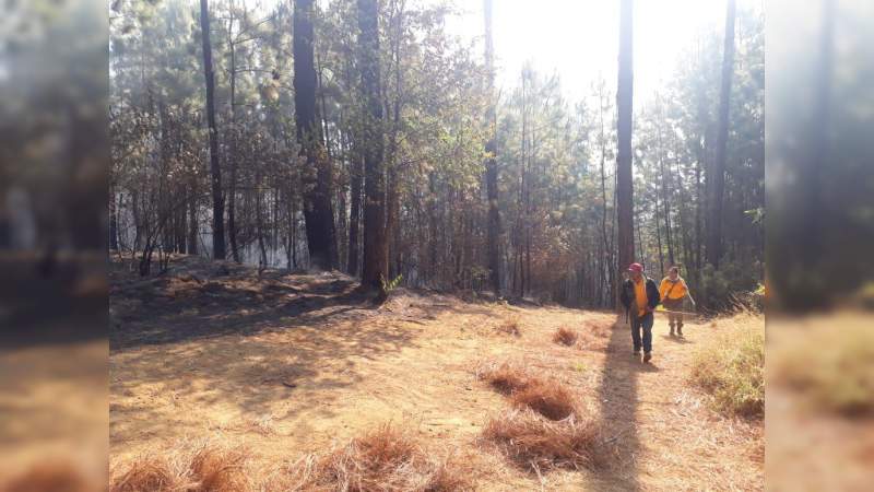 Atienden brigadas incendios en Uruapan; emite Segob recomendaciones ante capa de humo - Foto 0 