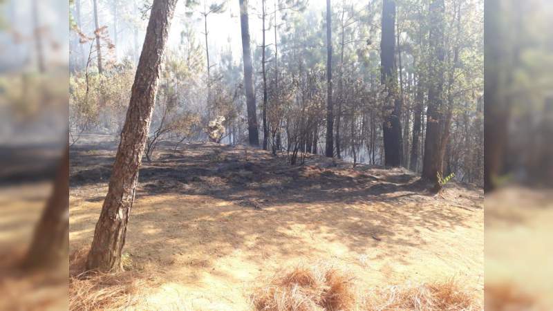 Atienden brigadas incendios en Uruapan; emite Segob recomendaciones ante capa de humo - Foto 1 