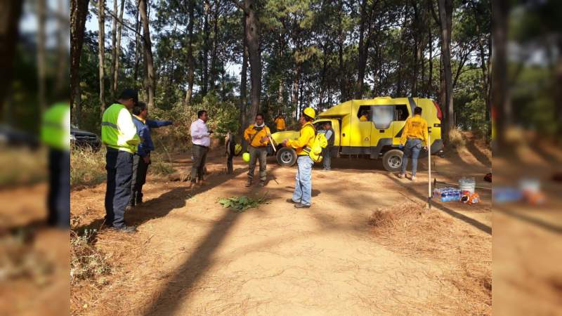 Atienden brigadas incendios en Uruapan; emite Segob recomendaciones ante capa de humo - Foto 2 