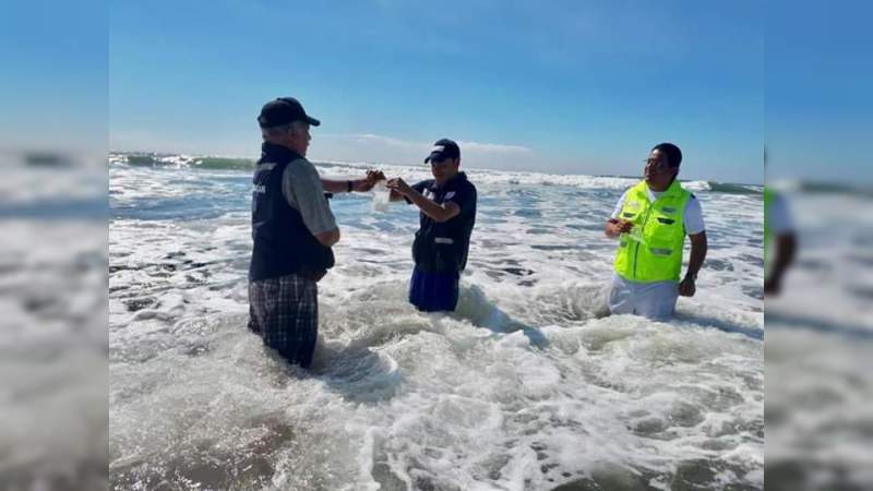 Concluye SSM muestreo de playas michoacanas, previo a vacaciones de Semana Santa 