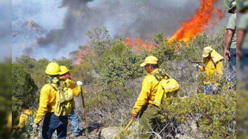 Michoacán, tercer entidad con más incendios forestales en 2019 