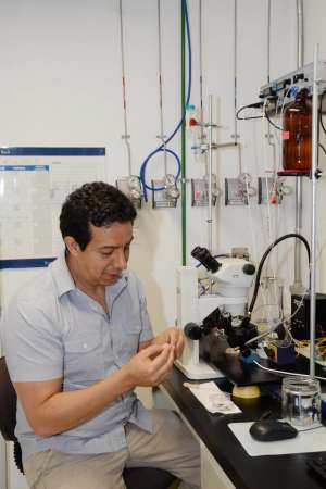 Analizan veneno de caracol marino para curar enfermedades cancerígenas - Foto 1 