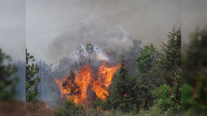 Hasta nueve años de cárcel a quien provoque incendios forestales: Semaccdet - Foto 1 