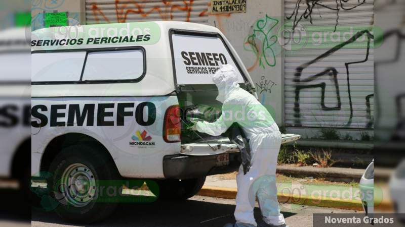 Investiga FGE posible envenenamiento de perros en Morelia, Michoacán - Foto 1 