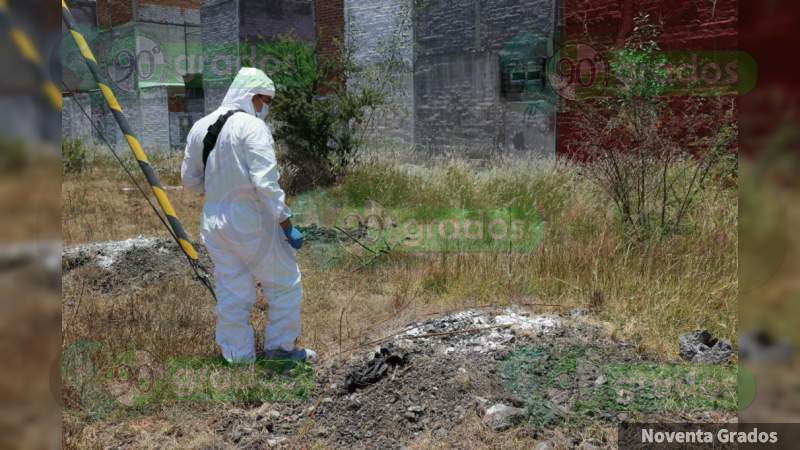 Investiga FGE posible envenenamiento de perros en Morelia, Michoacán - Foto 4 