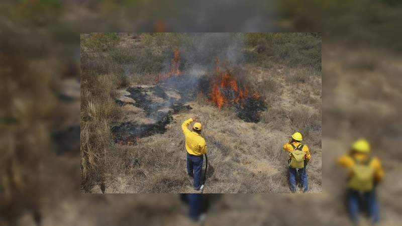Por incendios forestales, emiten declaratoria de emergencia en Oaxaca 