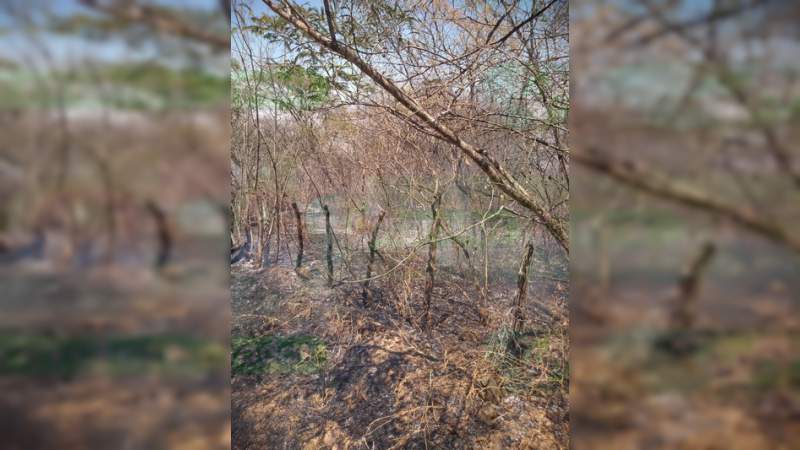 Detienen a presunto autor de los incendios en Coalcomán - Foto 2 