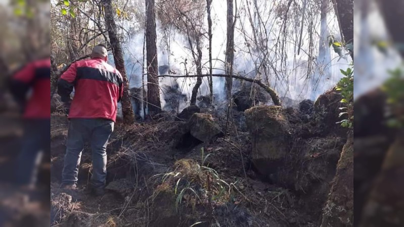 En alerta PC Michoacán y dependencias de los tres órdenes de gobierno ante incendios forestales - Foto 2 