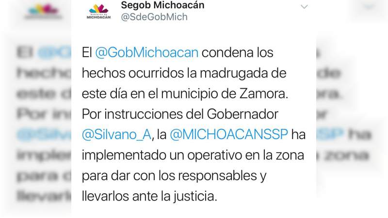 Gobierno de Michoacán exige a federación lo que él no ha podido hacer: garantizar seguridad - Foto 1 