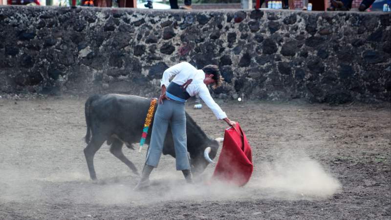 Triunfa Fauro Aloi en el Festival Taurino del Señor de Araró - Foto 3 