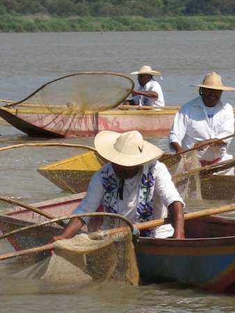 Se combatirá la pobreza alimentaria con la riqueza acuícola que tiene Michoacán: Compesca - Foto 0 