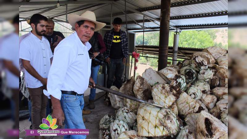 Queréndaro deleita a cientos con Ruta del Mezcal Michoacano - Foto 0 