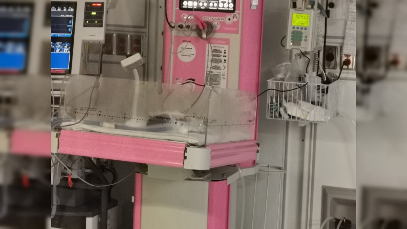 ¡Nacen cuatrillizas en el IMSS de Morelia!  - Foto 1 