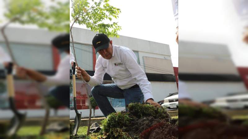 SEE plantará un millón de árboles para el cuidado del medio ambiente 