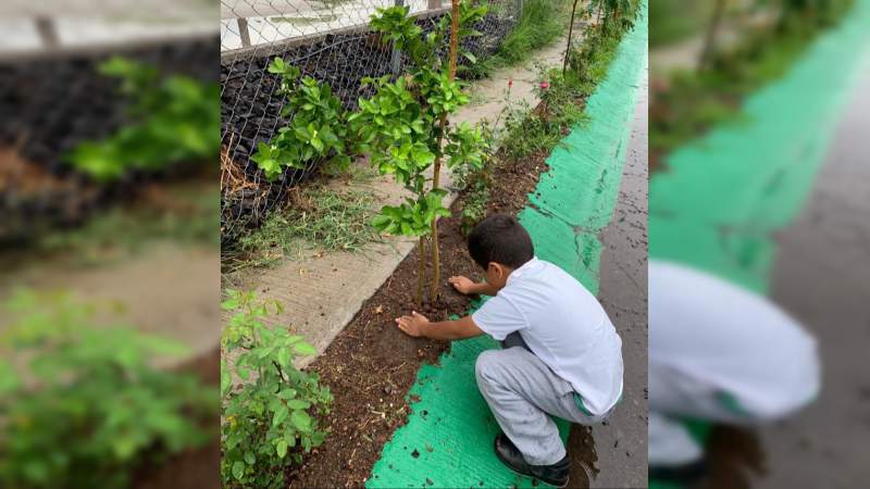 SEE plantará un millón de árboles para el cuidado del medio ambiente 