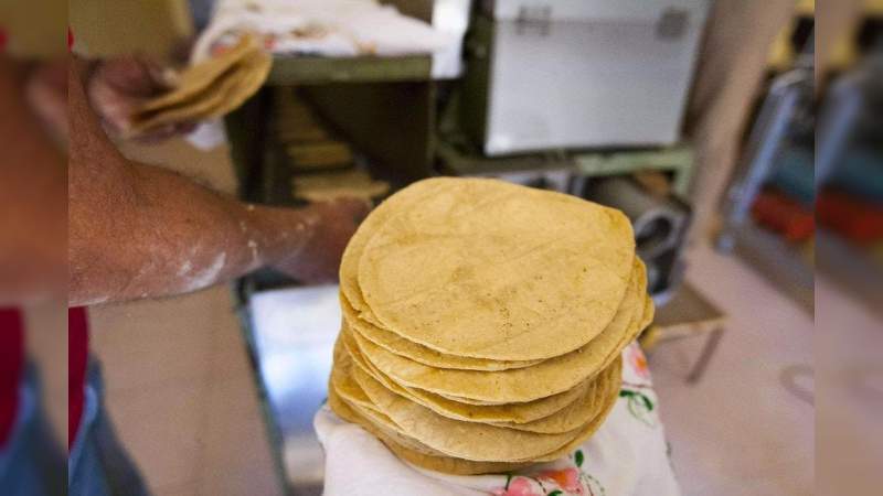 Crean una tortilla de cebada, para combatir la obesidad 