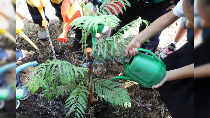 Escuelas de Michoacán plantan y adoptan árboles para cuidarlos; la meta, llegar al millón de adopciones: SEE - Foto 3 