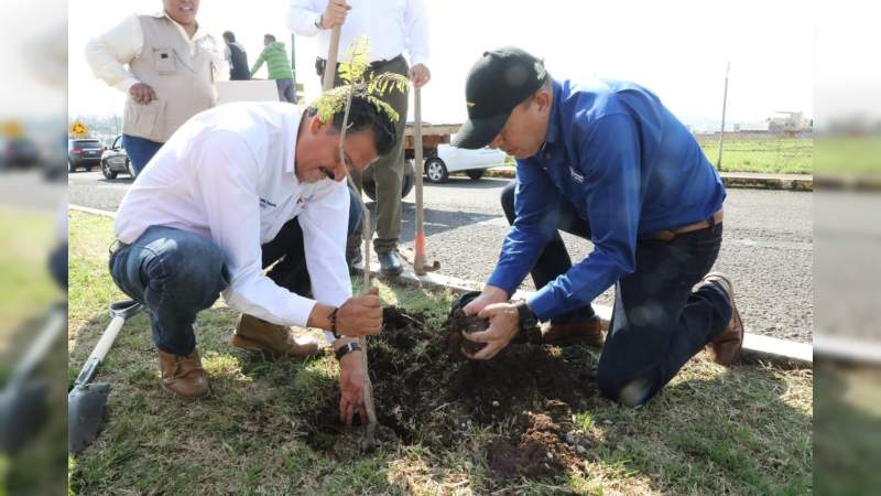 SEE realiza programa de reforestación en Morelia - Foto 0 