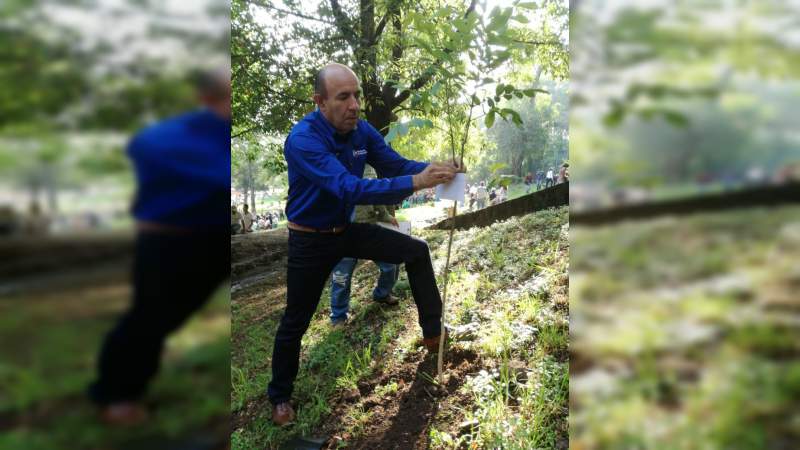 SEE realiza programa de reforestación en Morelia - Foto 1 