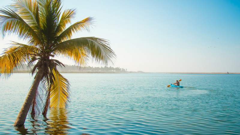 Se prepara la Costa michoacana para el arribo de tortugas marinas: Sectur - Foto 1 