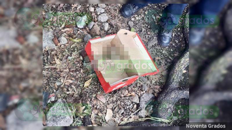 Localizan mano cercenada en plena vía pública en Coyoacán, Ciudad de México 