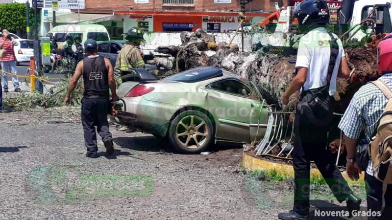 Árbol aplasta vehículo en Morelia, Michoacán - Foto 1 