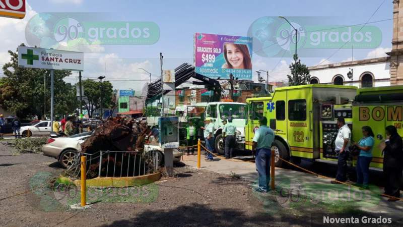 Árbol aplasta vehículo en Morelia, Michoacán - Foto 2 