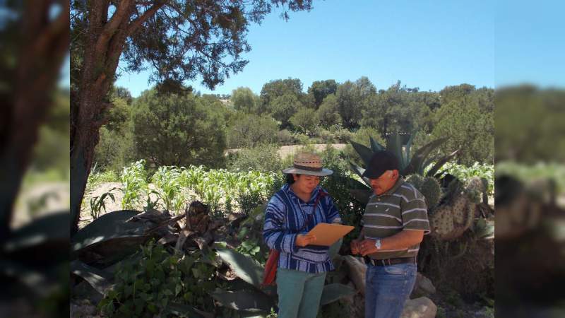 La ENES Morelia ofrecerá la licenciatura en Ciencias Agroforestales 