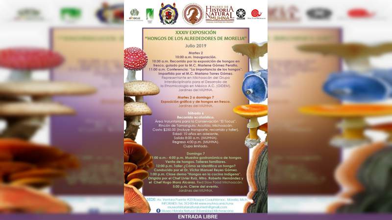 Anuncian la exposición: “Hongos de los alrededores de Morelia” 