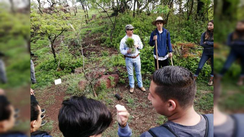 Nicolaitas por el Planeta inicia con reforestación - Foto 2 