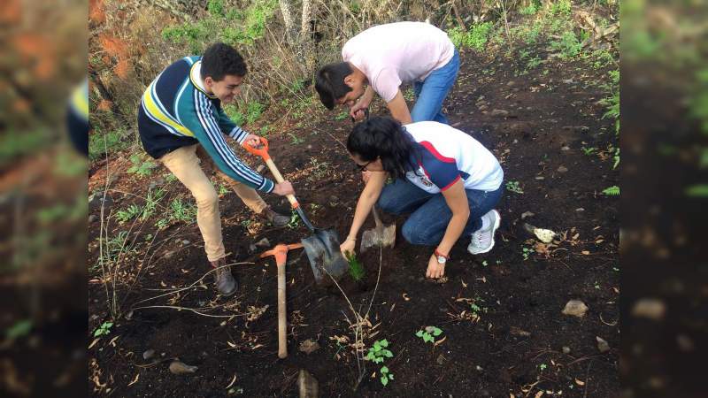 Nicolaitas por el Planeta inicia con reforestación - Foto 3 