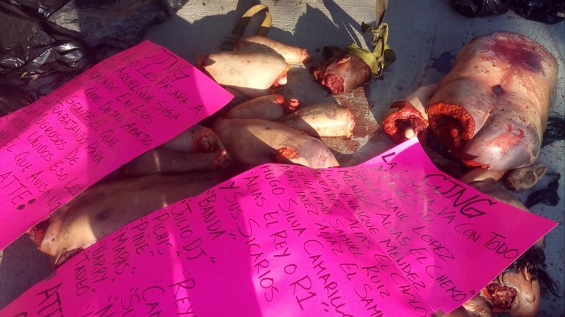 Encuentran cuerpos descuartizados en Silao, Guanajuato - Foto 4 