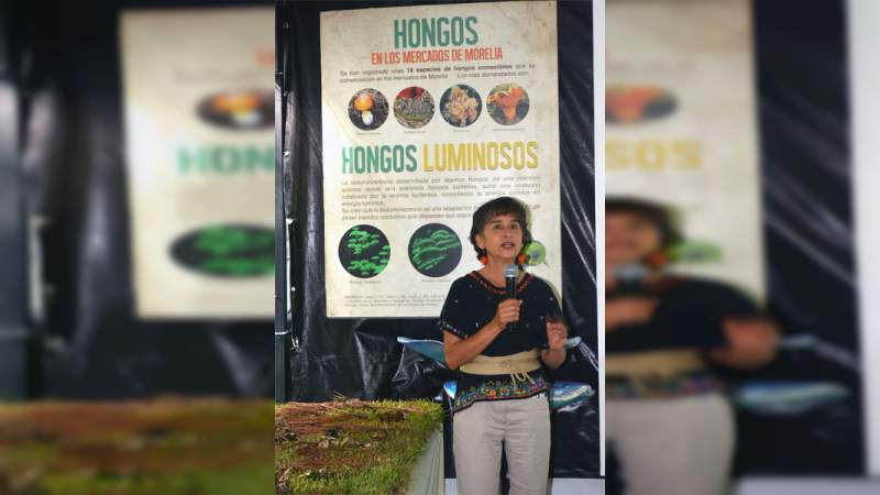 Inauguran XXXIV exposición de hongos - Foto 1 