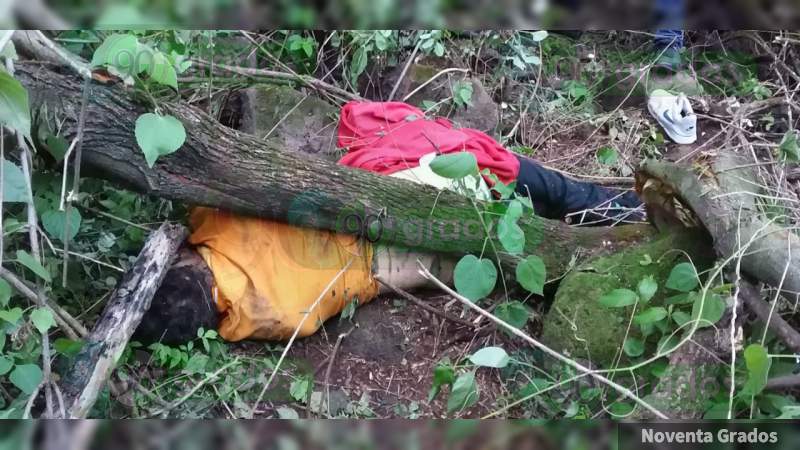 Muere en accidente sobre la carretera Jiquilpan-Cotija - Foto 2 