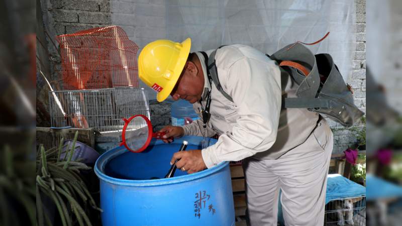 Con prevención, combaten proliferación del mosco que trasmite dengue, zika y chicunyunga 