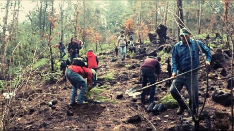 Reforestan más de 15 mil árboles en el Cerro del Tecolote - Foto 0 
