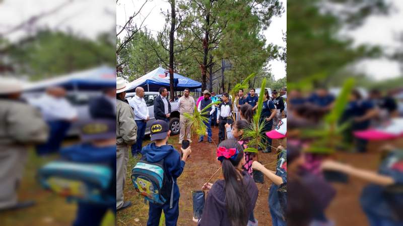 Reforestan más de 15 mil árboles en el Cerro del Tecolote - Foto 2 