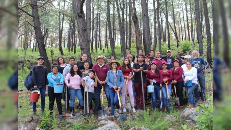 Freno a degradación forestal de Michoacán, pide Fermín Bernabé  - Foto 0 