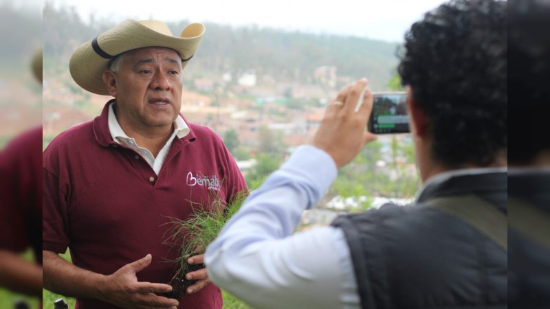 Freno a degradación forestal de Michoacán, pide Fermín Bernabé  - Foto 1 