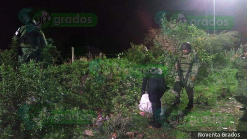 Aseguran marihuana en Morelia, Michoacán - Foto 0 