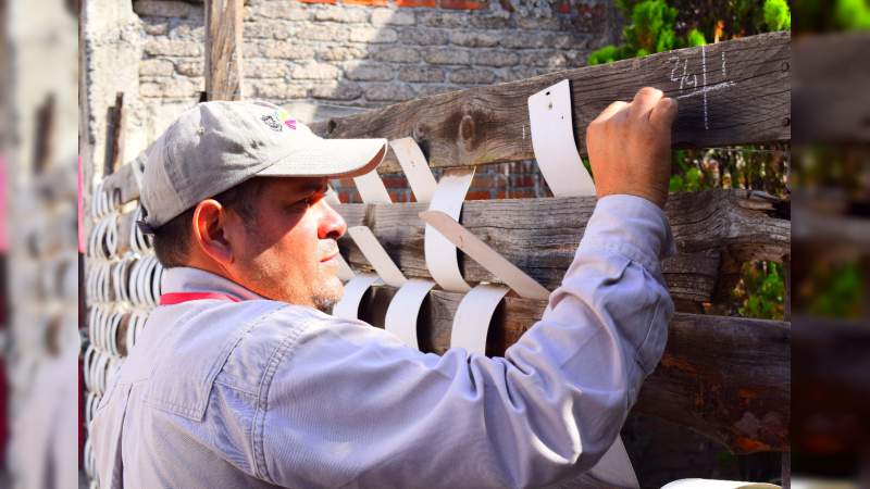 Michoacán, sin registro de zika y chikungunya: SSM 