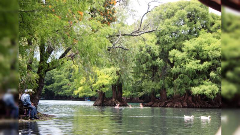 Lago de Camécuaro, el milagro michoacano azul turquesa que convida al amor - Foto 0 