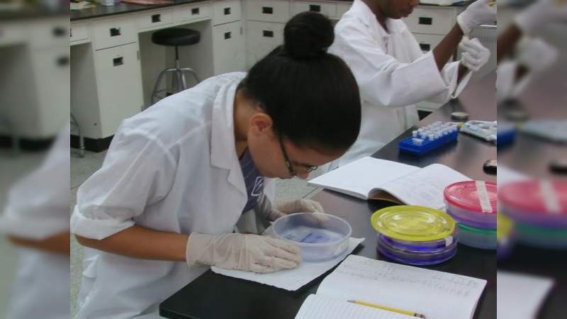 Por cerrar la convocatoria para el Doctorado en Ciencias en Biología Experimental 