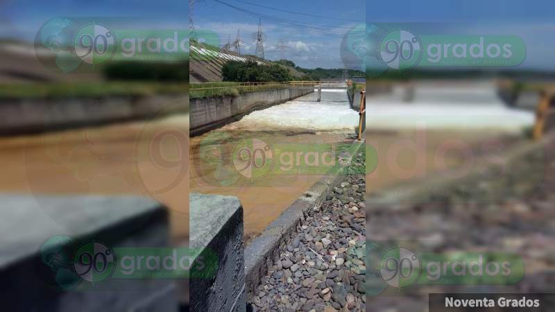 Habitantes de Petacalco, Guerrero, denuncian abusos contra las tortugas de la zona - Foto 1 