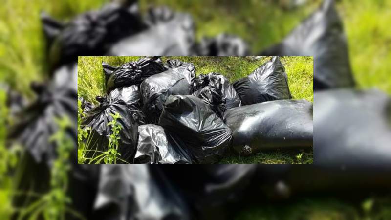 Localizan bolsas con cuerpos descuartizados en Veracruz 