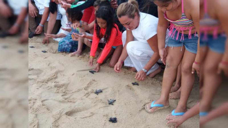 Ixtapilla, Santuario tortuguero de gran arraigo en Michoacán - Foto 0 