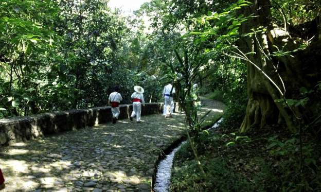 Conjuran huelga en el Parque Nacional de Uruapan, Michoacán - Foto 2 