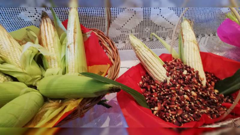 Preparan la Cuarta Feria del Maíz, en Copándaro - Foto 2 