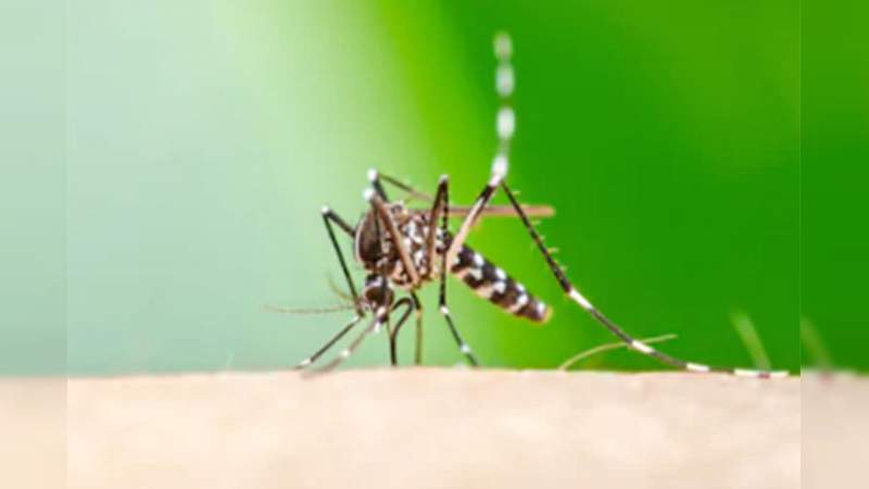 Se triplican los casos se dengue en México 
