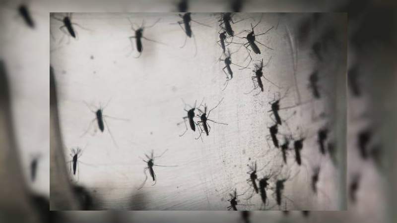 Detectan un tipo más agresivo de dengue en Jalisco 